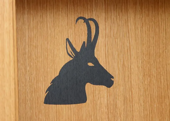 Schwarz * 蓬高圣约翰